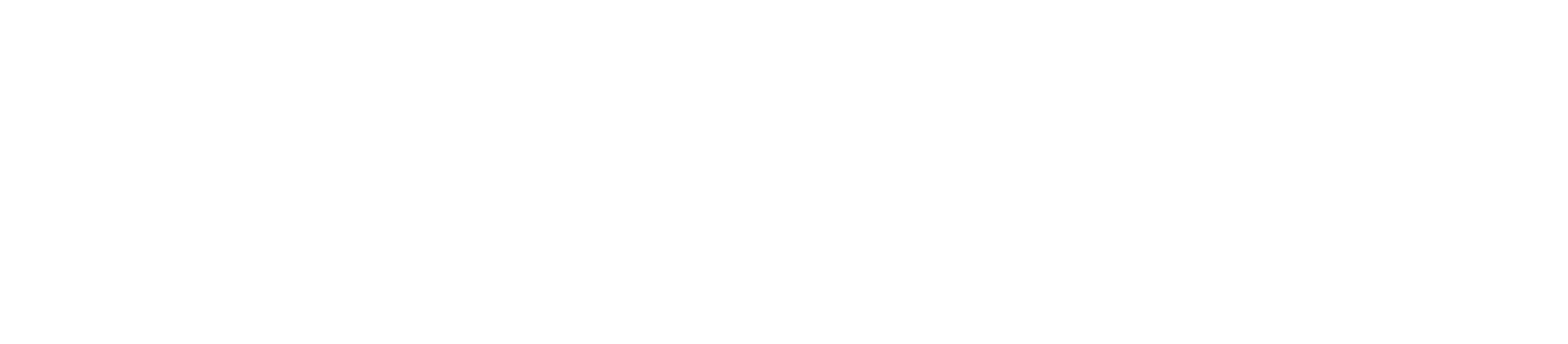 NB Media
